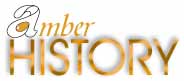 About AmberLink